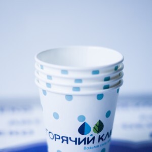 odnorazovaja-bumazhnaja-posuda-s-logotipom-photos-article-photo